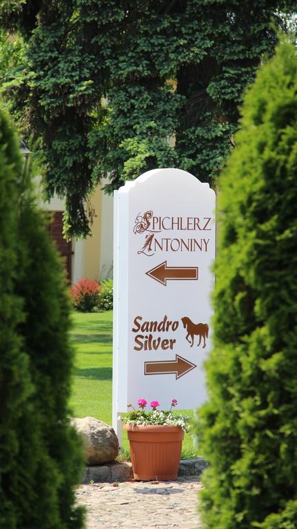 Hotel Sandro Silver Leszno  Esterno foto